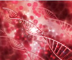 Types Of Haemophilia: 5 Available Diagnostic Tests For This Rare Genetic Disorder