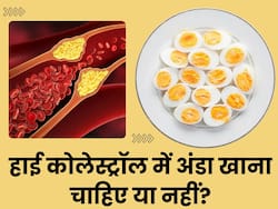 हाई कोलेस्ट्रॉल में अंडा खाना चाहिए या नहीं? जानें क्या है डायटीशियन की राय