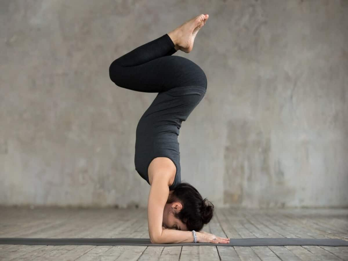 Before Practising Pincha Mayurasana, Do These Simple Warm-Up Exercises ...