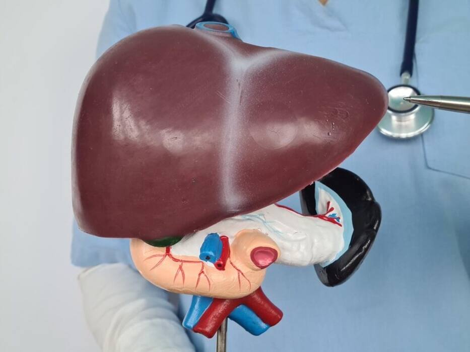 Let Us Understand The Role Of Hepatitis A And B In Liver Disease