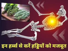 ढहती हड्डियों में जान फूंक देगी ये 5 आयुर्वेदिक जड़-बूटियां, जोड़ों का दर्द और सूजन भी होगा कम ढहती हड्डियों में जान फूंक देगी ये 5 आयुर्वेदिक जड़-बूटियां, जोड़ों का दर्द और सूजन भी होगा कम