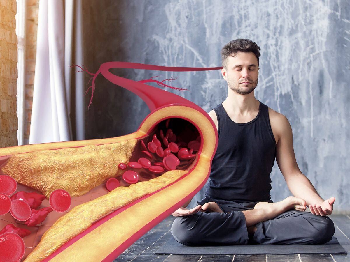 High Cholesterol In Men 40s: Top 7 Yoga Asanas To Bring Down Bad LDL Cholesterol Levels Naturally - Vimarsana News