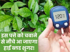 खाली पेट चबा लें गर्मी में मिलने वाला ये 1 खुशबूदार पत्ता, शाम तक नीचे आ जाएगा ब्लड शुगर खाली पेट चबा लें गर्मी में मिलने वाला ये 1 खुशबूदार पत्ता, शाम तक नीचे आ जाएगा ब्लड शुगर