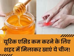 Uric Acid को कंट्रोल करने के लिए शहद में मिलाकर खाएं ये चीज, पेशाब के रास्ते शरीर से बाहर निकल जाएगी सारी गंदगी