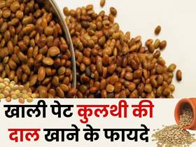 खाली पेट कुलथी दाल खाने के होते हैं ये 5 फायदे, डायटीशियन से जानिए सेवन का सही तरीका खाली पेट कुलथी दाल खाने के होते हैं ये 5 फायदे, डायटीशियन से जानिए सेवन का सही तरीका