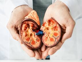 Lemon Water On Empty Stomach For Kidney Damage Cure: 5 Reasons To Start Your Day With Nimbu Pani