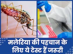 मलेरिया की पहचान के लिए समय पर जांच है जरूरी, लक्षण दिखते पर तुरंत कराएं टेस्ट