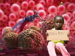 Malaria   s Double Threat: Understanding the Interplay with Sickle Cell Anaemia in Rural India
