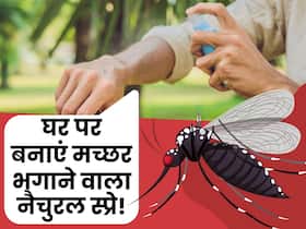 मच्छर भगाने के लिए घर पर इन चीजों से बनाएं ये नैचुरल Mosquito Repellent, 5 मिनट में हो जाएंगे छूमंतर