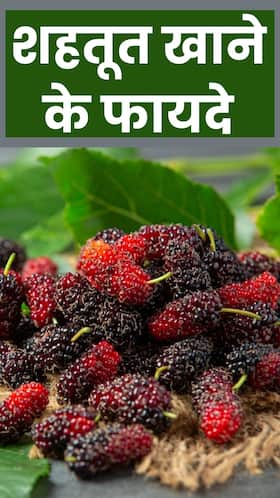 शहतूत खाने के 8 जबरदस्त फायदे