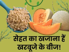 खरबूजा ही नहीं इसके बीज भी हैं सेहत के लिए वरदान, फायदे जानकर दंग रह जाएंगे आप