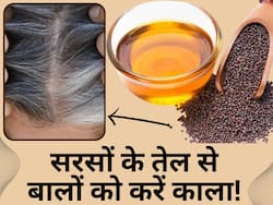सफेद बालों को काला करने के लिए सरसों के तेल में मिलाकर लगाएं ये 2 चीजें, एक हफ्ते में दिखने लगेगा असर