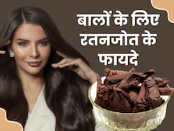 बालों में रतनजोत लगाने से दूर होगीं ये 2 प्रॉब्लम्स, इस 1 चीज के साथ करना है मिक्स