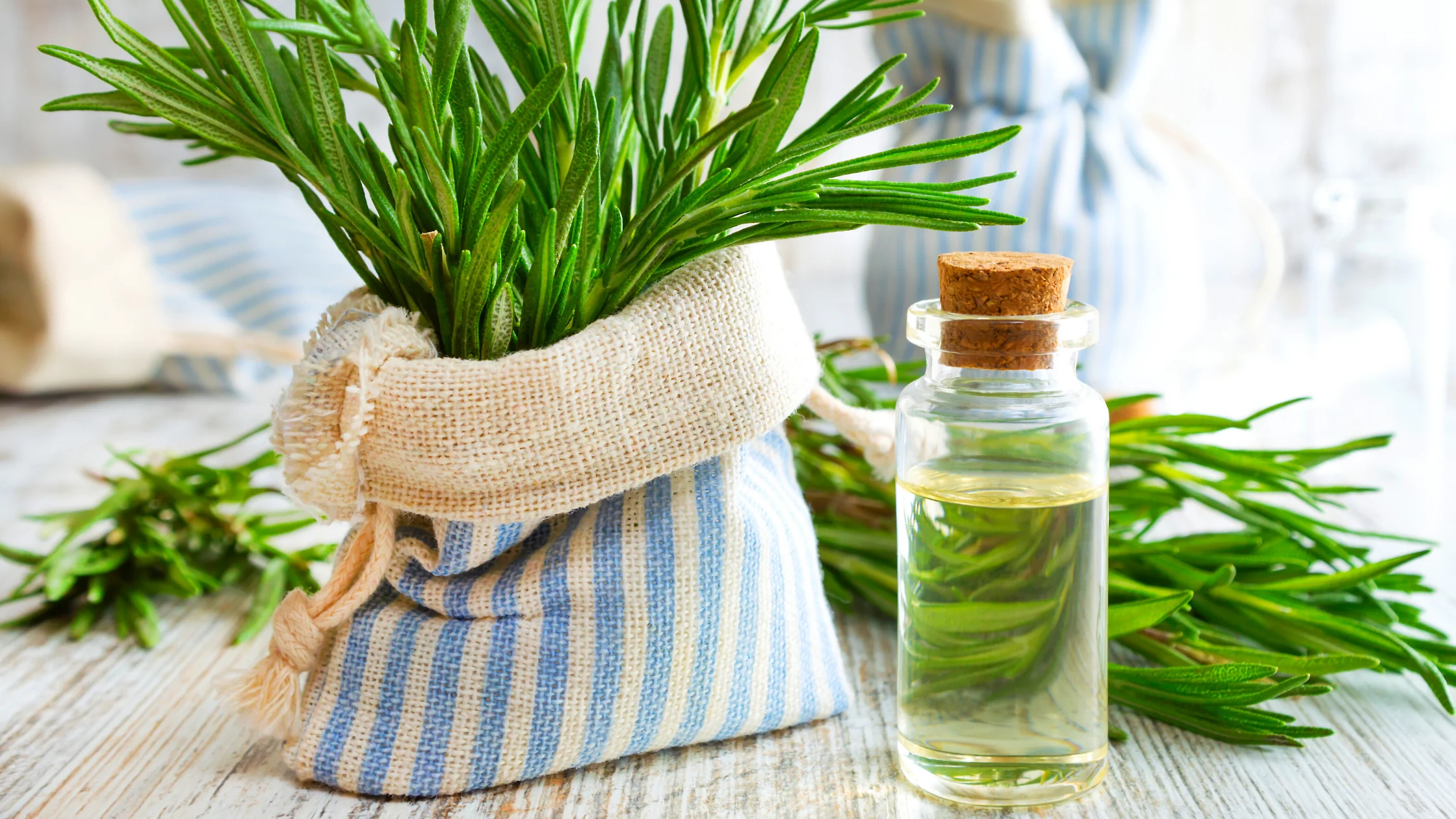 Does Rosemary Essential Oil Raise Blood Pressure?