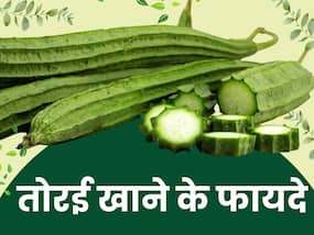 गर्मियों में तोरई खाने के फायदे क्या हैं? जानिए एक्सपर्ट से
