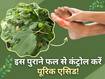 सबसे पुराने इस फल से यूरिक एसिड का करें इलाज, सुबह-सुबह इस तरह करें सेवन