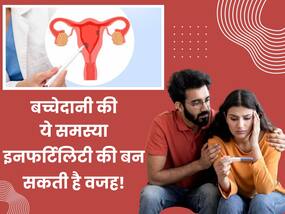 बच्चेदानी से जुड़ी ये 3 समस्याएं बन जाती हैं इनफर्टिलिटी की वजह, इग्रोर करनी की न करें गलती 