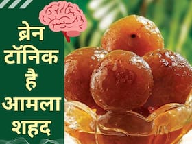 सबसे तेज दौड़ेगा आपके बच्चे का दिमाग, डाइट में शामिल करें ये 2 सुपर फूड्स सबसे तेज दौड़ेगा आपके बच्चे का दिमाग, डाइट में शामिल करें ये 2 सुपर फूड्स