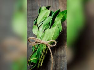 Chewing Bay Leaves: खाली पेट तेज पत्ता चबाने के फायदे