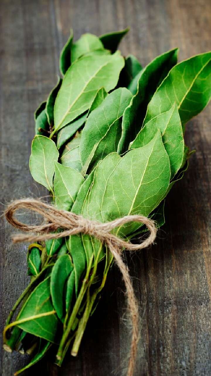 Chewing Bay Leaves: खाली पेट तेज पत्ता चबाने के फायदे
