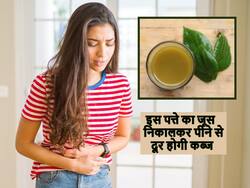 लंबे समय से हो रही कब्ज से दवाएं भी हो चुकी हैं फेल? सुबह उठते ही पिएं इस पत्ते का जूस तुरंत होगा पेट साफ