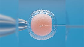 Breaking The Age Barrier: Early Age Egg Freezing Empowers Women In Family Planning And Career Pursuits