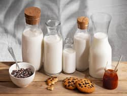 Healthy Milk Alternatives: 6 Non- Dairy Milk Options To Choose From