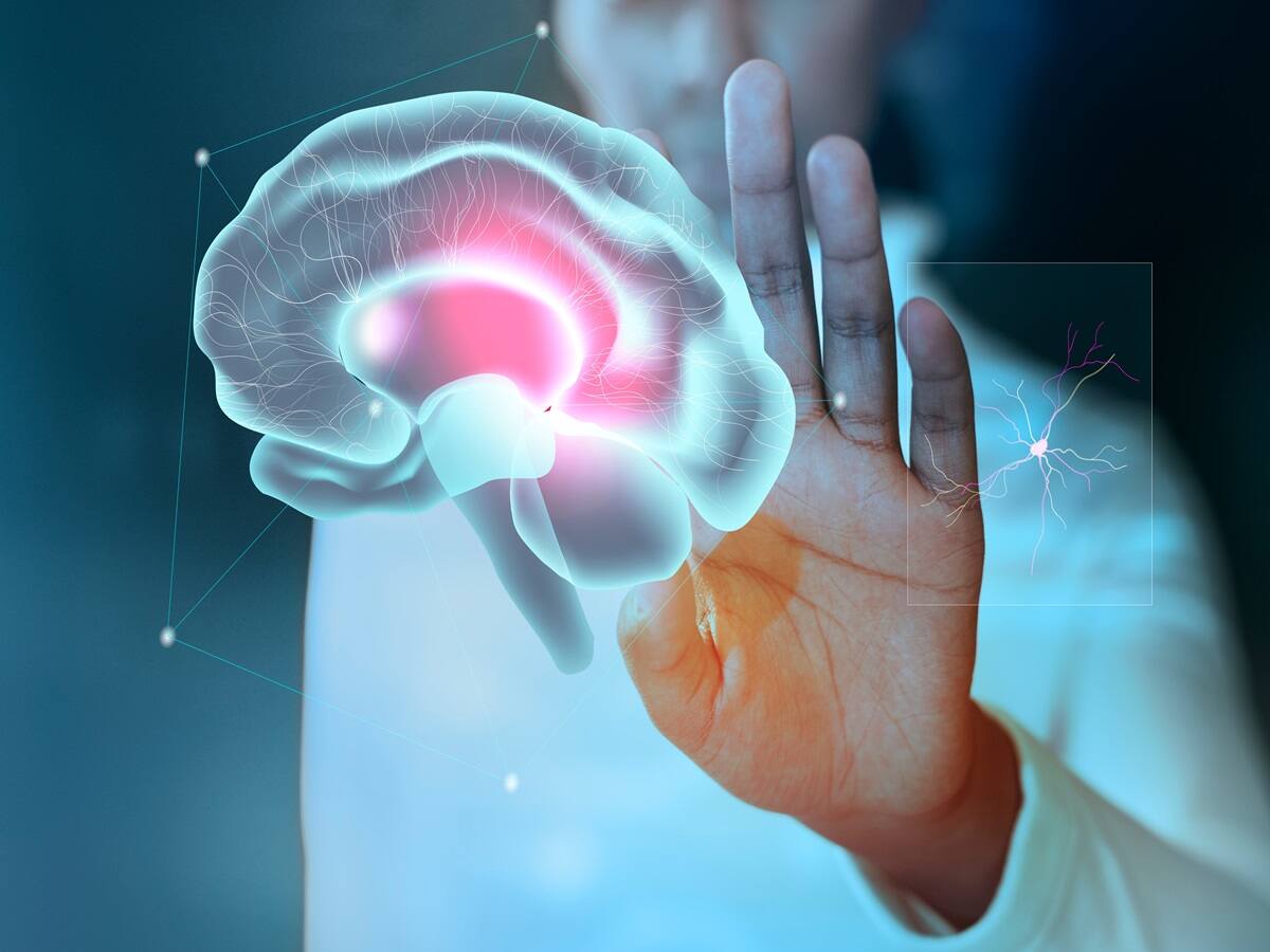 How To Boost Brain Health And Gray Matter Density? Stop Doing These 5 Things Today! - Vimarsana News