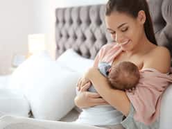 How Does Breastfeeding Impact An Infant   s Gastrointestinal Health And Development?