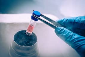Egg Freezing Process: By Freezing Your Eggs Now, You Are Preserving The Future Egg Freezing Process: By Freezing Your Eggs Now, You Are Preserving The Future