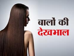 महंगे शैंपू, सीरम और ट्रीटमेंट का झंझट छोड़ो, आंवला पाउडर और नारियल तेल आपके बालों को बनाएंगे मजबूत