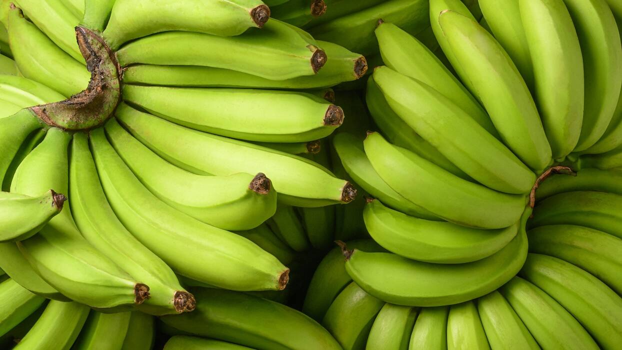 Green Banana Benefits: 5 Health Benefits Of Eating Raw Banana