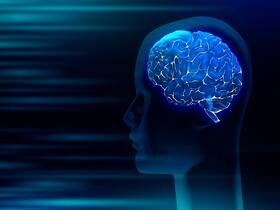 New Study Reveals: How Pupil Dilation Reflects Working Memory Abilities