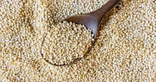 The Power Of Barnyard Millet: An Expert Advice On Health Benefits