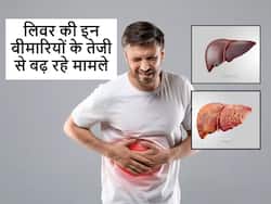 वर्ल्ड लिवर डे 2024: लिवर कैंसर और सिरोसिस जैसे रोगों के बढ़ रहे हैं मामले, लिवर रोगों से बचाव के लिए रहें सचेत