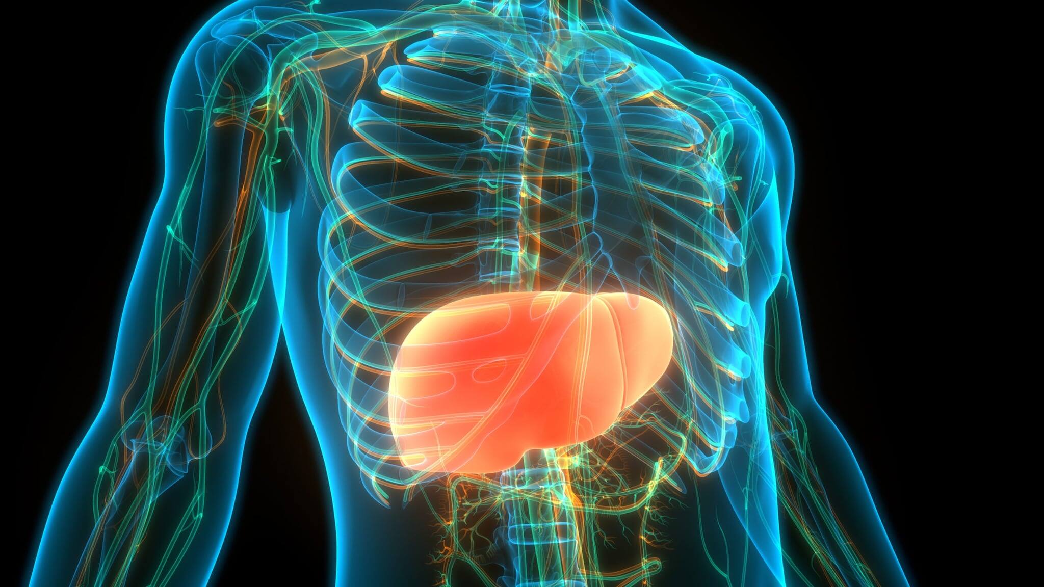 Liver Health And Diabetes: Understanding The Connection