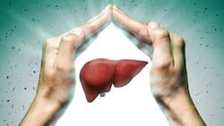 World Liver Day 2024: 7 Simple Tips To Boost Your Liver Health