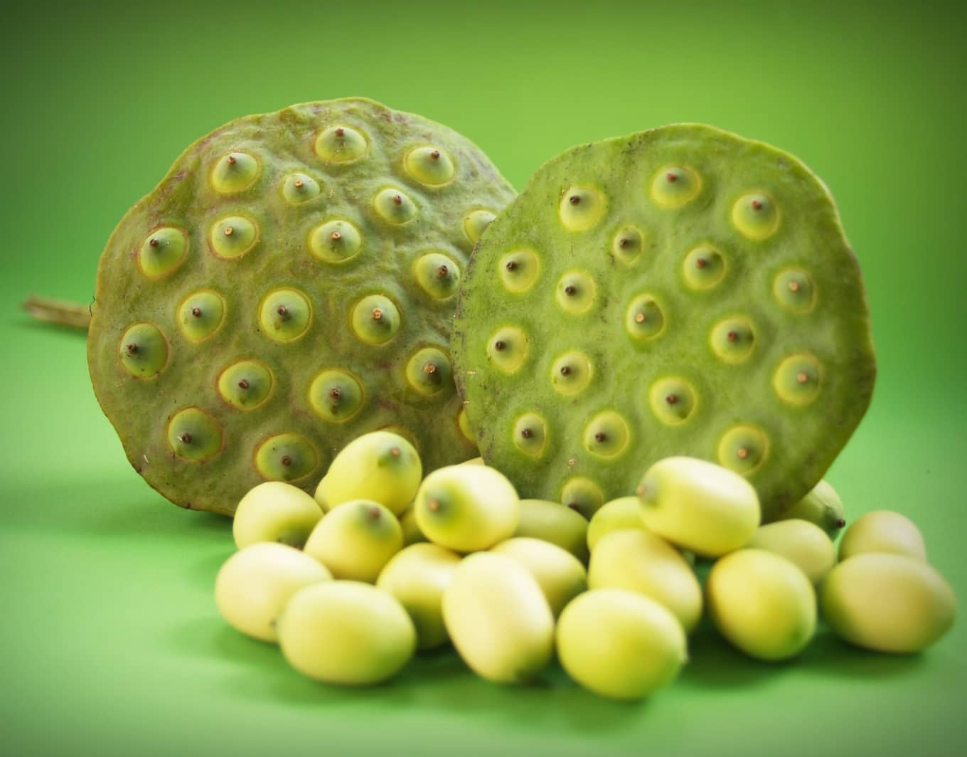 Water Lily Fruit Benefits: Are Water Lily Seeds Good For You?