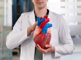 Cardiac Health: Is Treating Specific Heart Artery For Heart Attacks Sufficient?