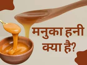 दुनियाभर में सुपर फूड के तौर पर मशहूर हो रहा है मनुका हनी, जानिए क्या है इसमें खास दुनियाभर में सुपर फूड के तौर पर मशहूर हो रहा है मनुका हनी, जानिए क्या है इसमें खास