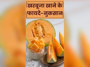 kharbuja khane ke nuksan: गर्मियों में खरबूजा खाने के फायदे-नुकसान
