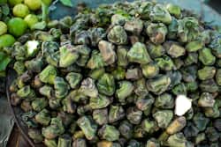 Water Chestnut Benefits For Female Fertility: 10 Nutritional Benefits Of Singhara