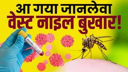 West Nile fever: जानें  क्या है जानलेवा वेस्ट नाइल बुखार? इन राज्यों में अलर्ट जारी