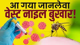 West Nile fever: जानें  क्या है जानलेवा वेस्ट नाइल बुखार? इन राज्यों में अलर्ट जारी
