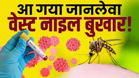 West Nile fever: जानें  क्या है जानलेवा वेस्ट नाइल बुखार? इन राज्यों में अलर्ट जारी