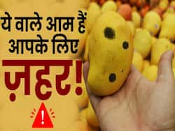 Mango with calcium carbide: आम खरीदने से पहले जरुर देखें ये वीडियो
