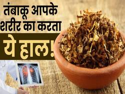 No tobacco day: तंबाकू का सेवन करेगा आपके शरीर का ये हाल