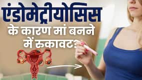 Endometriosis Pregnancy Risk: क्या एंडोमेट्रीयोसिस के कारण मां बनने में आती है परेशानी?