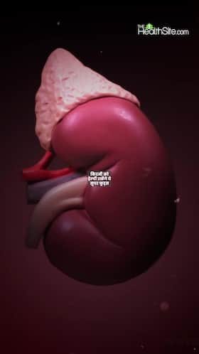 Best food boost kidney