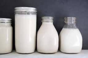 Is Lactose-Free Milk Better  Than  Real  Milk?